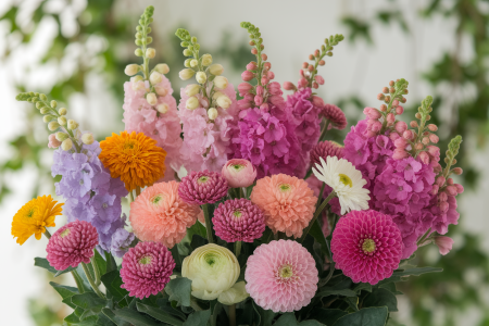 bouquet-fleurs-lettre-n-couleurs