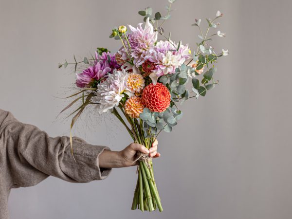 Offrir une plante ou un bouquet : que choisir selon l&rsquo;occasion ?